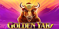 Golden Yak