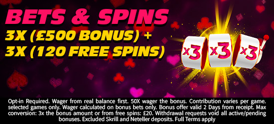 Bets & Spins
